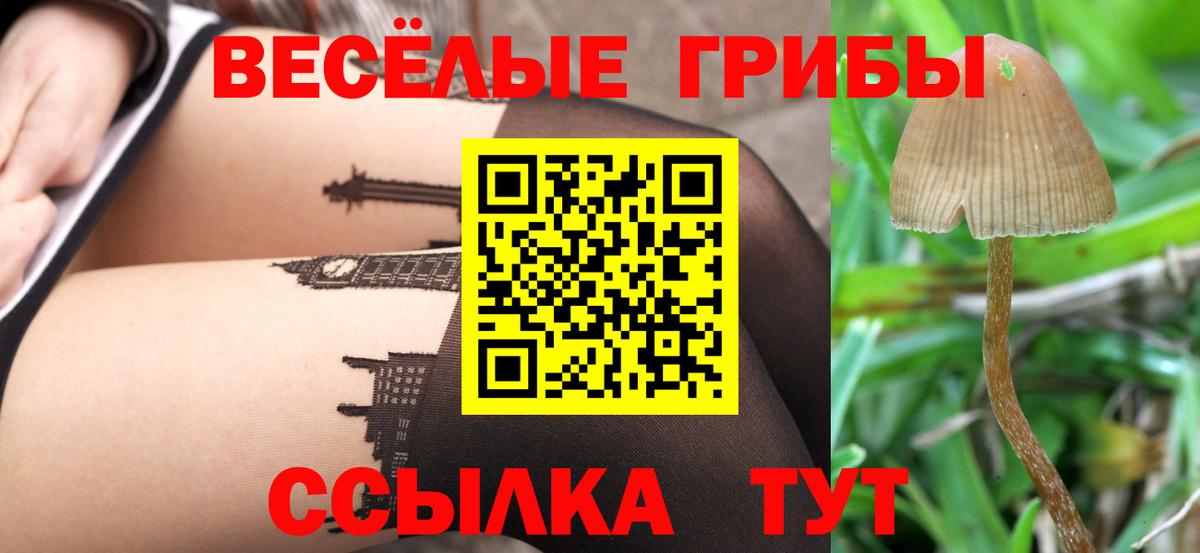 Электросталь  Псилоцибиновые грибы Cubensis  Галлюциногенные грибы Psilocybine cubensis  Вход с VPN 